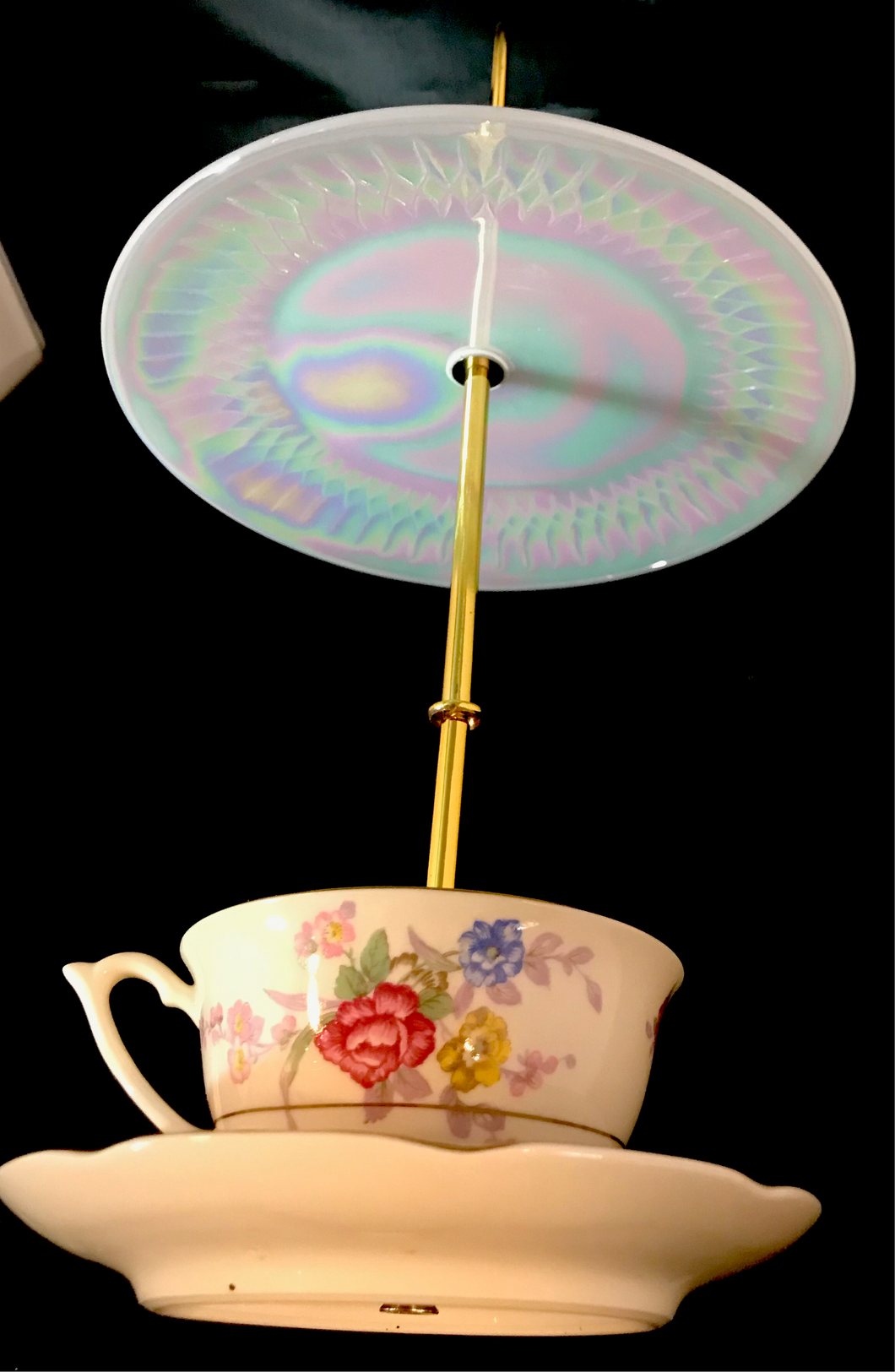 Hanging Bird Feeder (003BF)