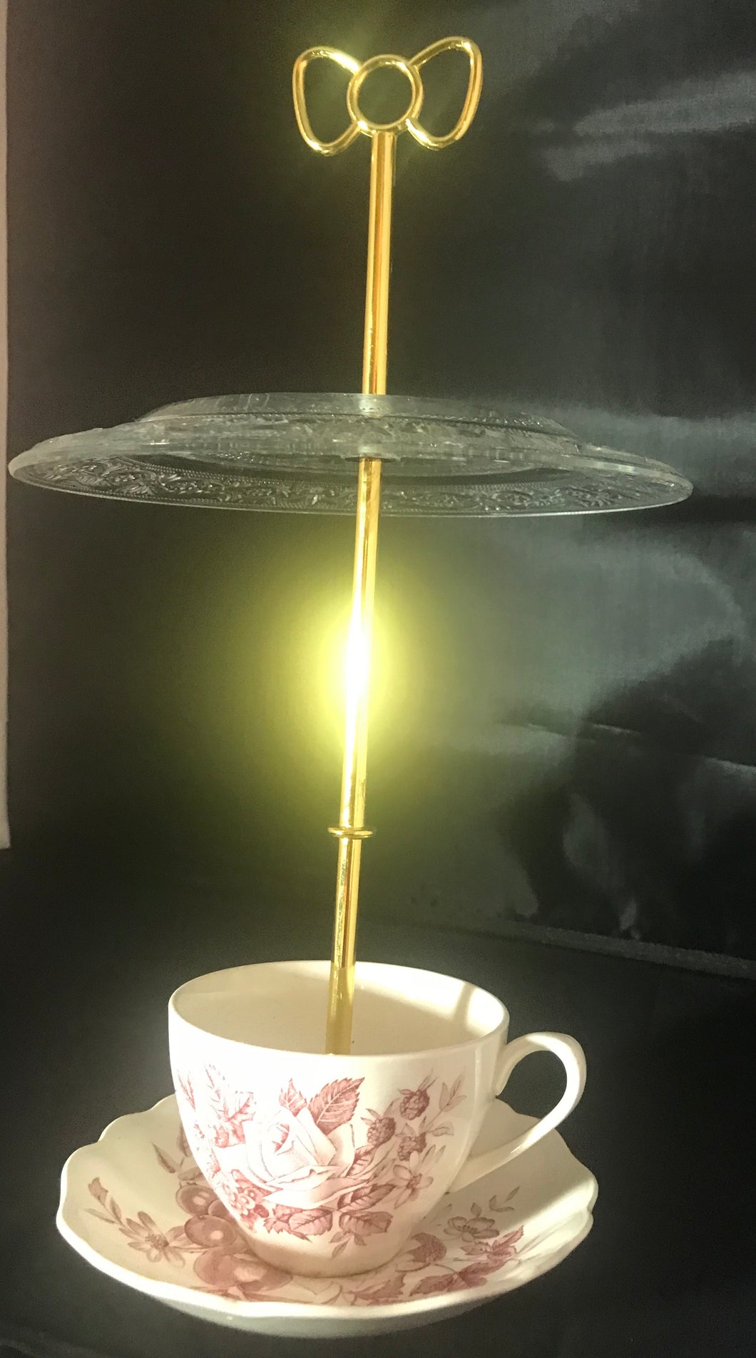 Hanging Bird Feeder (008BF)